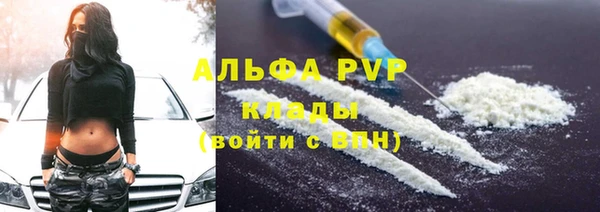 ПСИЛОЦИБИНОВЫЕ ГРИБЫ Осташков