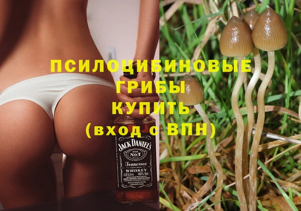 прущие крисы Осинники